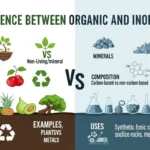difference between organic and inorganic