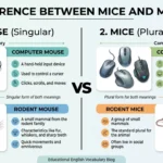 difference between mice and mouse